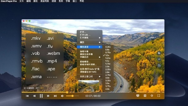 全能影音播放器 OmniPlayer Pro for Mac v1.0.8 中文破解版下载