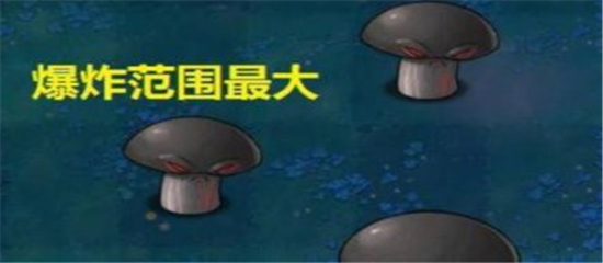 植物大战僵尸国际版