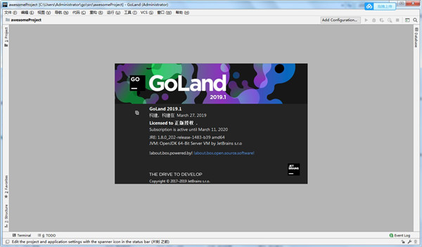 Go语言编辑器 JetBrains GoLand v2020.3.2 汉化破解版下载
