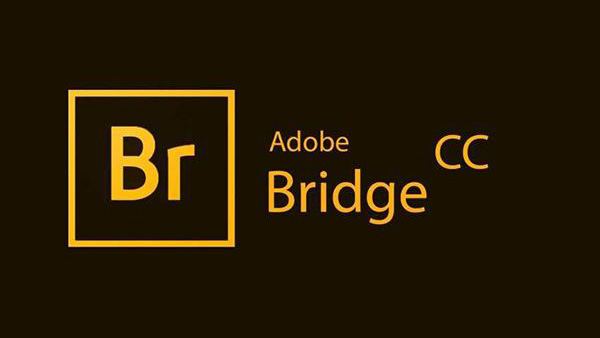 Adobe Bridge for Mac 2020 v10.0.3.138 TNT 直装破解激活版下载