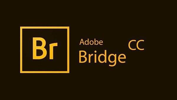 资源管理器软件 Adobe Bridge 2021 v11.0.2.123 中文破解版下载