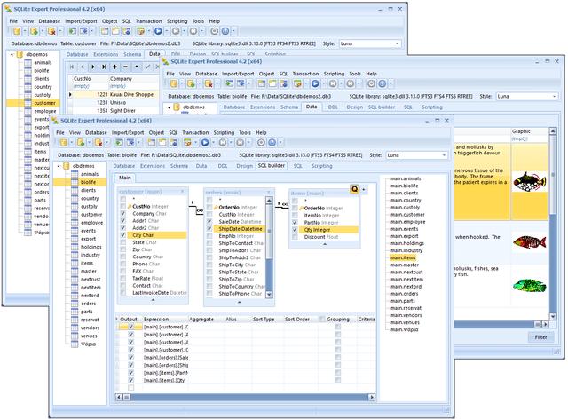 数据库可视化管理工具 SQLite Expert Pro v5.4.10.553 特别版下载