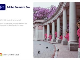 视频后期处理软件 Adobe Premiere Pro 2022 v22.3.1.2 中文破解版下载