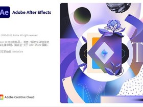 视频处理软件 Adobe After Effects 2022 v22.4.0.56 中文破解版下载