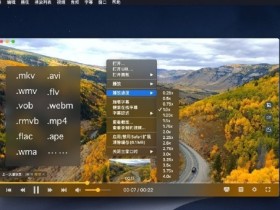 全能影音播放器 OmniPlayer Pro for Mac v1.0.8 中文破解版下载