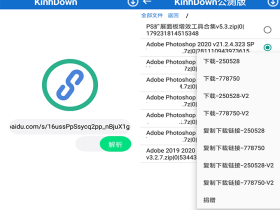 安卓版百度网盘高速下载器 KinhDown for Android v1.2.40 最新版下载地址