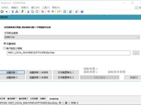 注册表编辑管理工具 RegCool v1.322 中文绿色单文件特别版下载