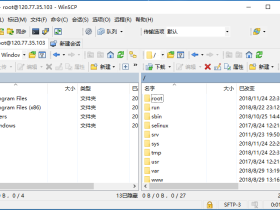 SFTP客户端WinSCP v5.21.0 免费版下载/开源的SSH图形可视化工具