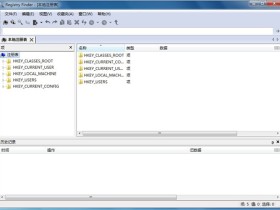 注册表编辑工具 Registry Finder v2.38.1 中文绿色便携版下载